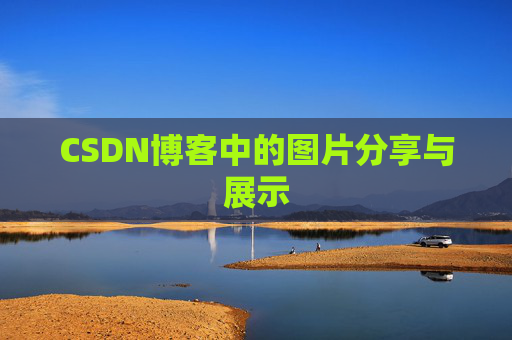 CSDN博客中的图片分享与展示